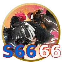 S6666